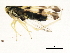  ( - BIOUG00937-A03)  @13 [ ] CreativeCommons - Attribution (2011) CBG Photography Group Centre for Biodiversity Genomics