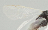  ( - DHJPAR0039769)  @12 [ ] CreativeCommons - Attribution Non-Commercial Share-Alike (2015) Jose L. Fernandez-Triana Canadian National Collection