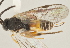  ( - DHJPAR0039115)  @12 [ ] CreativeCommons - Attribution Non-Commercial Share-Alike (2015) Jose L. Fernandez-Triana Canadian National Collection