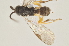  ( - DHJPAR0040434)  @13 [ ] CreativeCommons - Attribution Non-Commercial Share-Alike (2015) Jose L. Fernandez-Triana Canadian National Collection