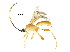  ( - DHJPAR0040563)  @11 [ ] CreativeCommons - Attribution (2018) CBG Photography Group Centre for Biodiversity Genomics