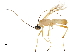  ( - DHJPAR0042076)  @11 [ ] CreativeCommons - Attribution (2018) CBG Photography Group Centre for Biodiversity Genomics