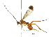  ( - DHJPAR0056234)  @13 [ ] CreativeCommons - Attribution (2018) CBG Photography Group Centre for Biodiversity Genomics
