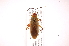  ( - INB0003358319)  @14 [ ] Copyright (2012) J. Lewis Instituto Nacional de Biodiversidad