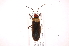  ( - INB0003444073)  @14 [ ] Copyright (2012) J. Lewis Instituto Nacional de Biodiversidad