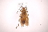  ( - INB0003861380)  @14 [ ] Copyright (2012) J. Lewis Instituto Nacional de Biodiversidad