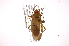 ( - INB0004010244)  @14 [ ] Copyright (2012) J. Lewis Instituto Nacional de Biodiversidad