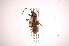  ( - INB0004011526)  @13 [ ] Copyright (2012) J. Lewis Instituto Nacional de Biodiversidad