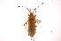  ( - INB0004012049)  @14 [ ] Copyright (2012) J. Lewis Instituto Nacional de Biodiversidad