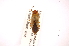  ( - INBIOCRI001637330)  @13 [ ] Copyright (2012) J. Lewis Instituto Nacional de Biodiversidad