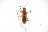  ( - INBIOCRI001997155)  @12 [ ] Copyright (2012) J. Lewis Instituto Nacional de Biodiversidad