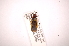  ( - INBIOCRI002447611)  @12 [ ] Copyright (2012) J. Lewis Instituto Nacional de Biodiversidad