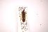  ( - INBIOCRI002477671)  @12 [ ] Copyright (2012) J. Lewis Instituto Nacional de Biodiversidad