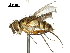  ( - CCDB-31126-E05)  @11 [ ] CreativeCommons - Attribution (2017) CBG Photography Group Centre for Biodiversity Genomics
