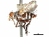  (Tromodesiana - CCDB-31128-C09)  @11 [ ] CreativeCommons - Attribution (2017) CBG Photography Group Centre for Biodiversity Genomics