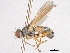  (Spanochaeta - CCDB-31128-F08)  @11 [ ] CreativeCommons - Attribution (2017) CBG Photography Group Centre for Biodiversity Genomics