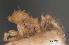  ( - CASENT0136800)  @12 [ ] Unspecified (default): All Rights Reserved  Unspecified Unspecified