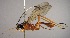  ( - INB0003322242)  @11 [ ] Copyright (2010) Ronald Zuniga Unspecified