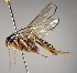  ( - INB0003350643)  @11 [ ] Copyright (2010) Ronald Zuniga Unspecified