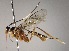  ( - INB0003415560)  @13 [ ] Copyright (2010) Ronald Zuniga Unspecified