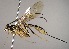  ( - INB0003552316)  @13 [ ] Copyright (2010) Ronald Zuniga Unspecified