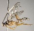  ( - INB0003731542)  @13 [ ] Copyright (2010) Ronald Zuniga Unspecified