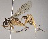  ( - INB0003731547)  @14 [ ] Copyright (2010) Ronald Zuniga Unspecified