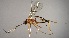  ( - INB0004007358)  @11 [ ] Copyright (2010) Ronald Zuniga Unspecified