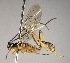  ( - INB0004011907)  @11 [ ] Copyright (2010) Ronald Zuniga Unspecified