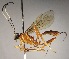  ( - INBIOCRI002191612)  @14 [ ] Copyright (2010) Ronald Zuniga Unspecified