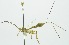  ( - INB0003118944)  @12 [ ] Copyright (2011) R. Zuniga Unspecified