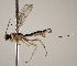 ( - INB0003134612)  @12 [ ] Copyright (2010) Ronald Zuniga Unspecified