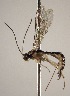 ( - INB0003134759)  @13 [ ] Copyright (2010) Ronald Zuniga Unspecified