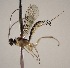  ( - INB0003136508)  @13 [ ] Copyright (2010) Ronald Zuniga Unspecified