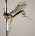  ( - INB0003136520)  @11 [ ] Copyright (2010) Ronald Zuniga Unspecified