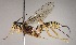  ( - INB0003159760)  @14 [ ] Copyright (2010) Ronald Zuniga Unspecified