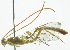  ( - INB0003176216)  @12 [ ] Copyright (2011) R. Zuniga INBio