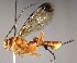  ( - INB0003318908)  @12 [ ] Copyright (2010) Ronald Zuniga Unspecified