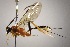  ( - INB0003368132)  @11 [ ] Copyright (2010) Ronald Zuniga Unspecified