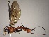  ( - INB0003382793)  @12 [ ] Copyright (2010) Ronald Zuniga Unspecified