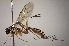  ( - INB0003512542)  @13 [ ] Copyright (2010) Ronald Zuniga Unspecified