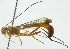  ( - INB0003550031)  @11 [ ] Copyright (2011) R. Zuniga INBio