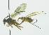  ( - INB0003713541)  @14 [ ] Copyright (2011) R. Zuniga Unspecified