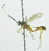  ( - INB0003715337)  @13 [ ] Copyright (2011) R. Zuniga Unspecified