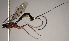  ( - INB0003731906)  @12 [ ] Copyright (2010) Ronald Zuniga Unspecified