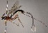  ( - INB0003732034)  @14 [ ] Copyright (2010) Ronald Zuniga Unspecified