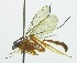  ( - INB0003798851)  @14 [ ] Copyright (2011) R. Zuniga INBio