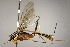 ( - INB0003798866)  @13 [ ] Copyright (2010) Ronald Zuniga Unspecified