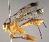  ( - INB0003864324)  @14 [ ] Copyright (2010) Ronald Zuniga Unspecified