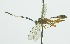  ( - INB0003934364)  @13 [ ] Copyright (2011) R. Zuniga Unspecified